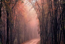 [国内球]协杯半决赛：上海海港3-2上海申花 集锦.