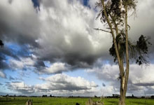 [大咖陪你看篮球]“香蕉船四兄弟”的传奇友情.